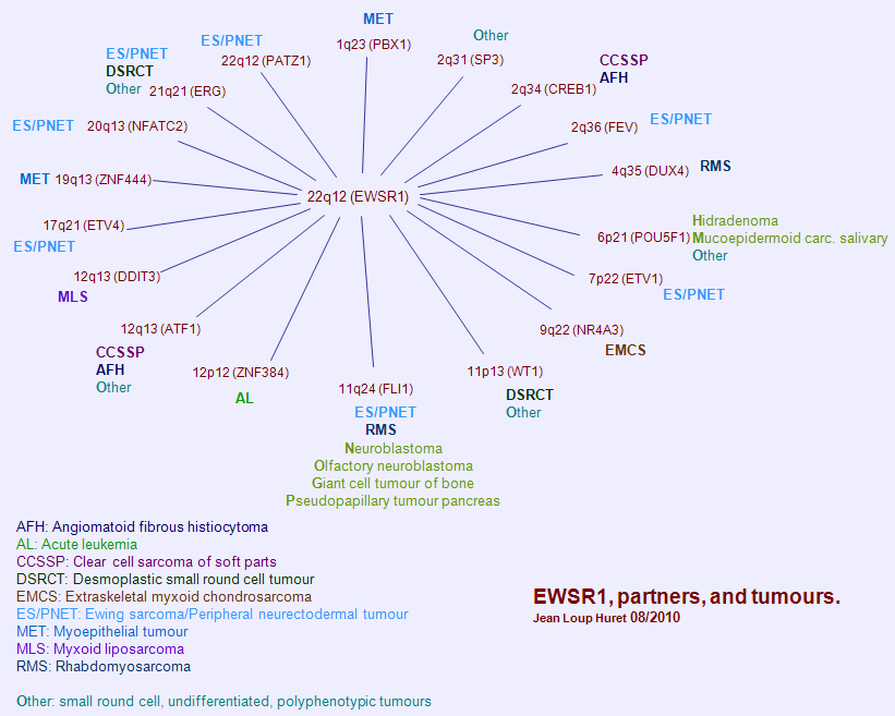 http://atlasgeneticsoncology.org//Genes/EWSR1ID85.html